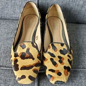 MASSIMO DUTTI Pony Hair Leopard Loafer